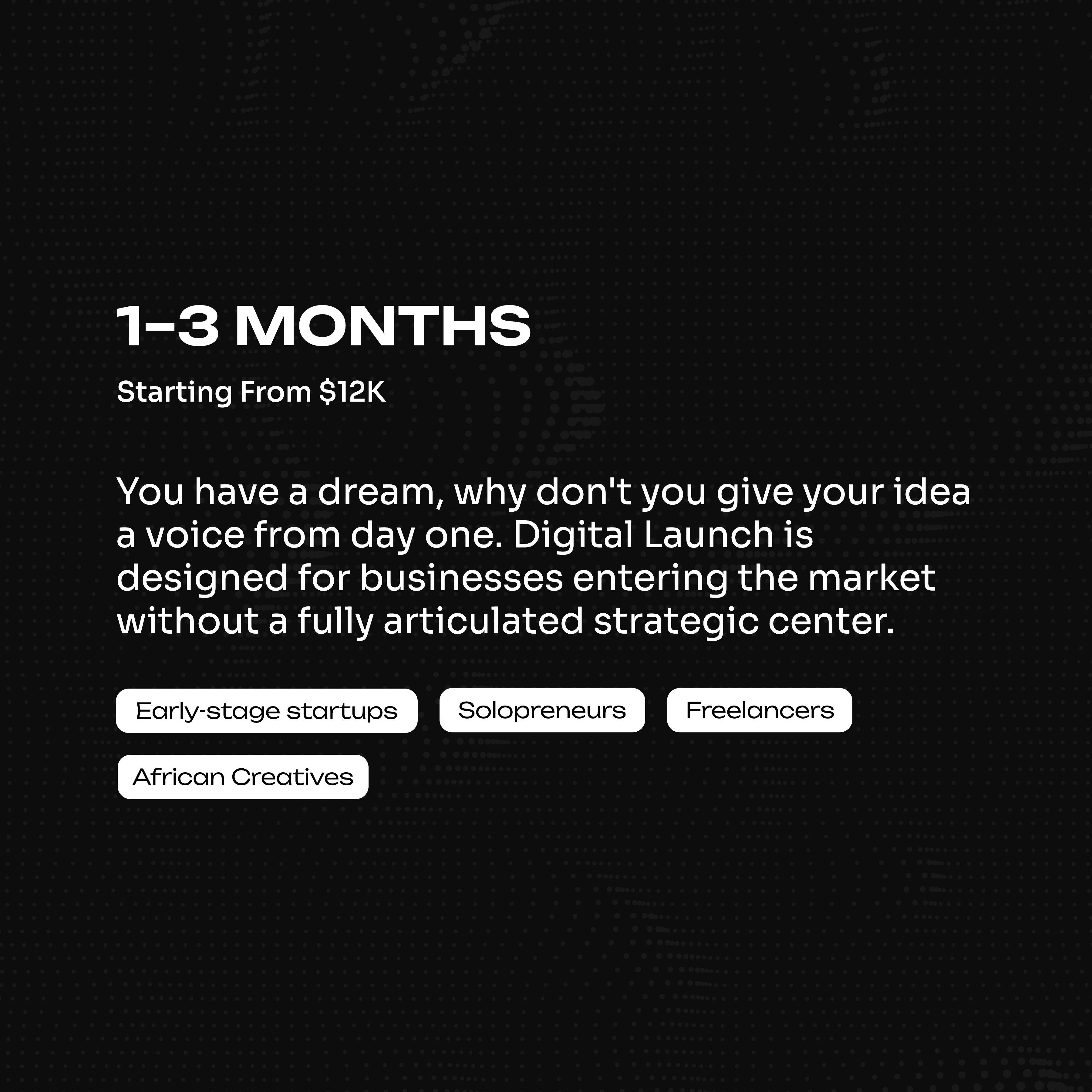 Digital Launch is designed for businesses entering the market without a fully articulated strategic center. 