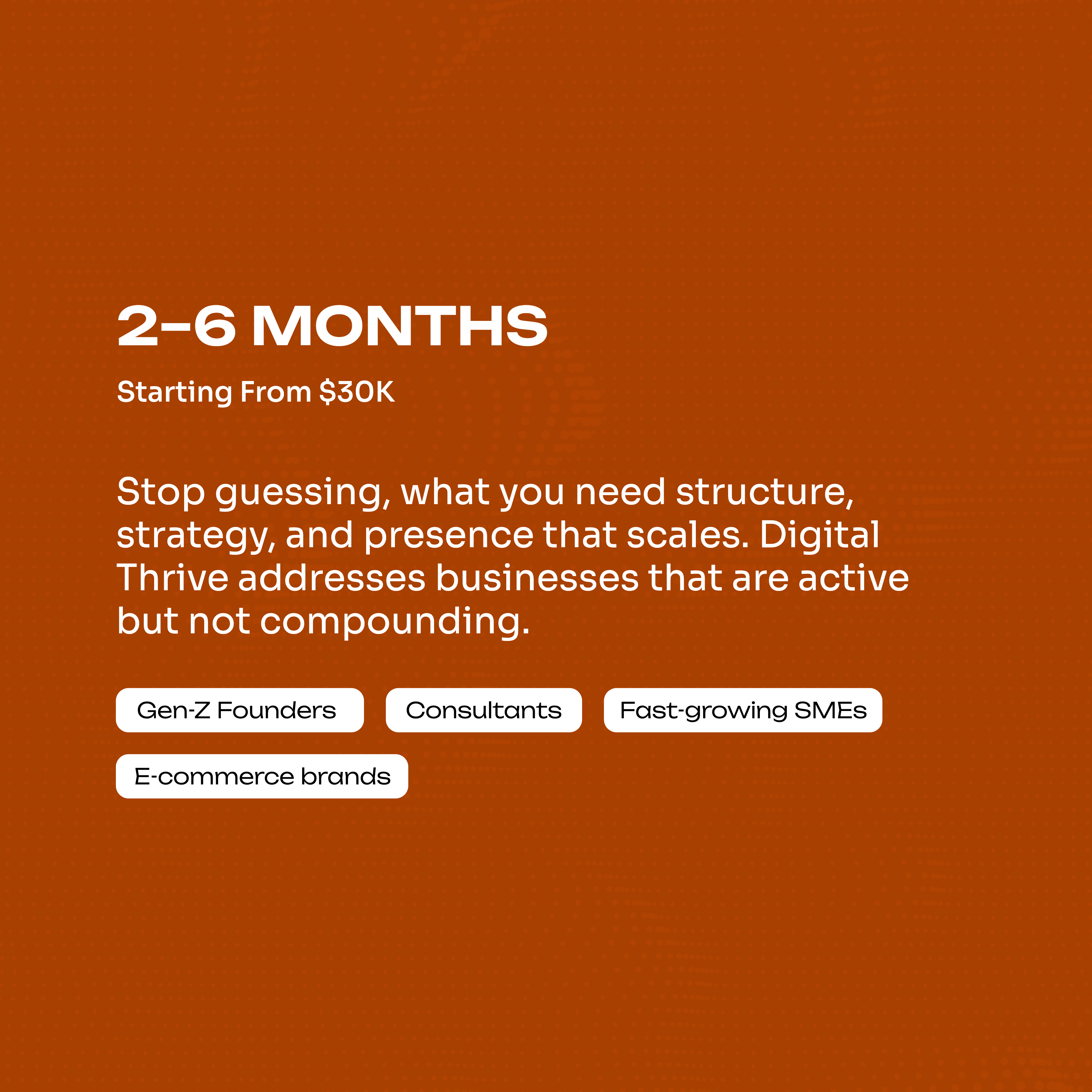 Digital Thrive addresses businesses that are active but not compounding.